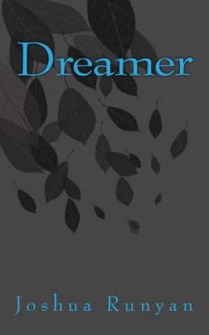Knjiga Dreamer Joshua Runyan