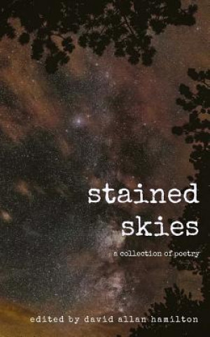 Kniha Stained Skies: A Collection of Poetry David Allan Hamilton