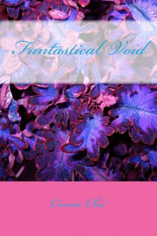 Knjiga Fantastical Void Connie Chu