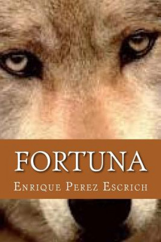 Kniha Fortuna Enrique Perez Escrich