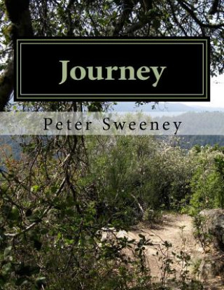 Carte Journey: Devotion to God for a lifetime Peter T Sweeney