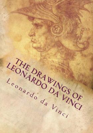 Kniha The Drawings of Leonardo da Vinci Leonardo Da Vinci