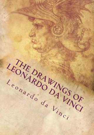 Buch The Drawings of Leonardo da Vinci Leonardo Da Vinci