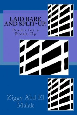Carte Laid Bare and Split-Up!: Poems for a Break-Up Ziggy Abd El Malak