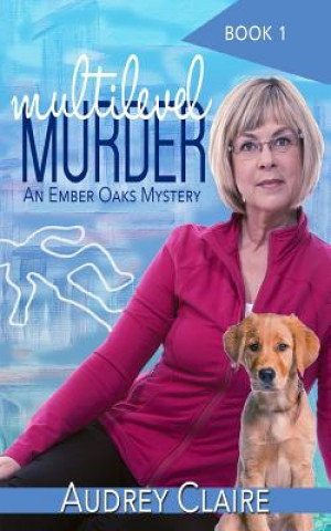 Knjiga Multilevel Murder Audrey Claire