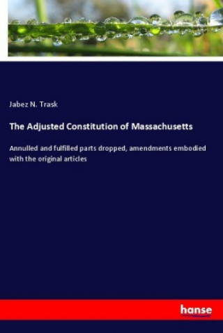 Книга The Adjusted Constitution of Massachusetts Jabez N. Trask