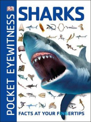 Carte Pocket Eyewitness Sharks DK