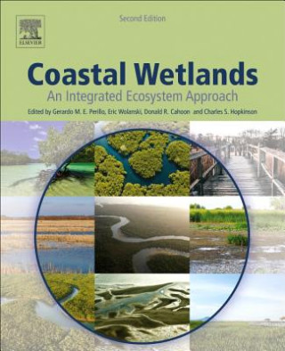 Carte Coastal Wetlands Gerardo Perillo