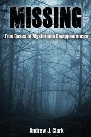 Carte Missing: True Cases of Mysterious Disappearances Andrew J Clark