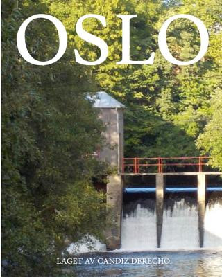 Könyv Oslo Candiz Derecho