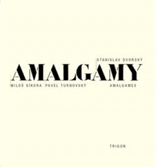 Könyv Amalgamy Stanislav Dvorský
