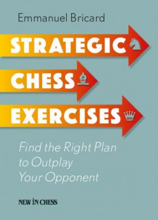 Kniha Strategic Chess Exercises: Find the Right Way to Outplay Your Opponent Emmanuel Bricard