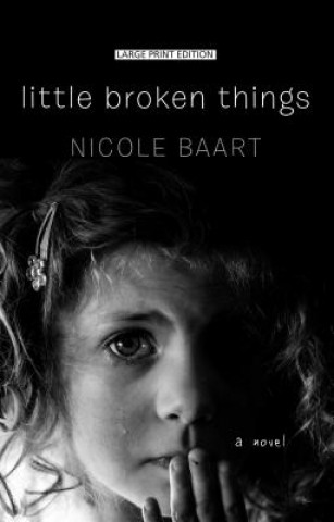 Book Little Broken Things Nicole Baart