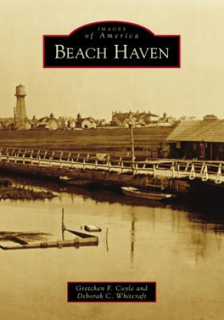 Knjiga Beach Haven Gretchen F Coyle
