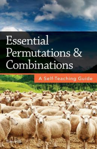 Kniha Essential Permutations & Combinations: A Self-Teaching Guide Tim Hill