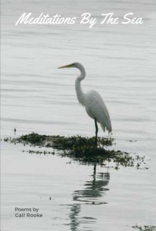 Книга Meditations By the Sea Gail Rooke