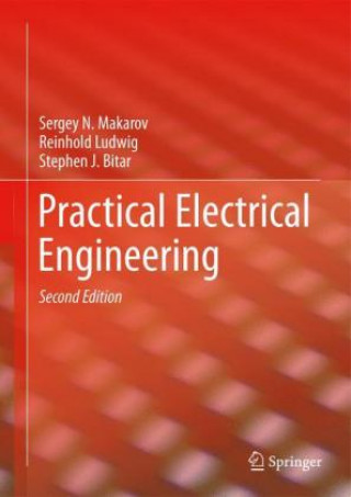 Könyv Practical Electrical Engineering Sergey N. Makarov