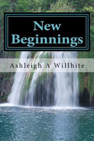 Buch New Beginnings Ashleigh a Willhite