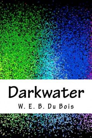 Kniha Darkwater W E B Du Bois