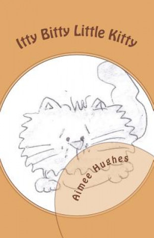 Knjiga Itty Bitty Little Kitty Aimee Hughes