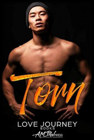 Knjiga Torn Love Journey