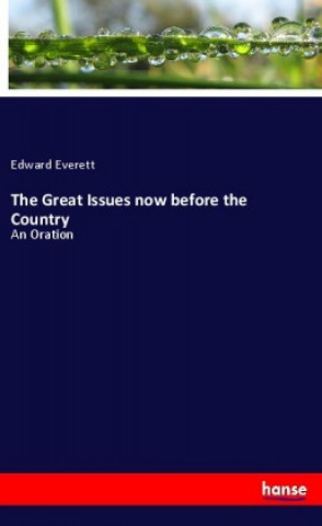 Книга The Great Issues now before the Country Edward Everett