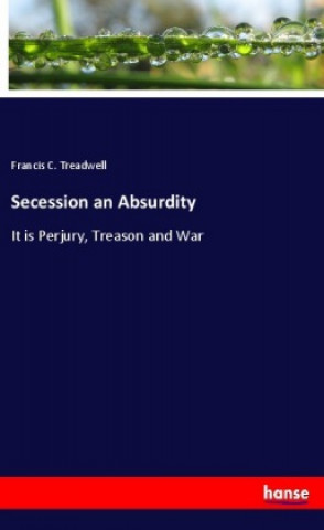 Buch Secession an Absurdity Francis C. Treadwell