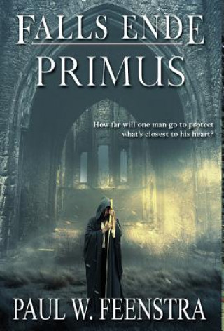 Buch Falls Ende Paul W. Feenstra
