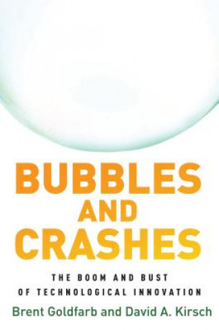 Książka Bubbles and Crashes Brent Goldfarb