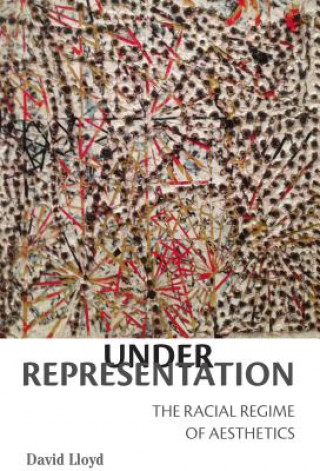 Knjiga Under Representation David Lloyd