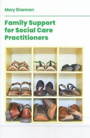 Kniha Family Support for Social Care Practitioners Mary Shannon
