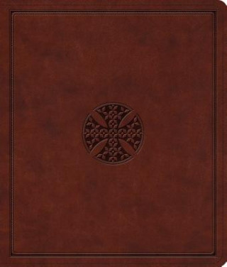 Knjiga ESV Journaling Bible 