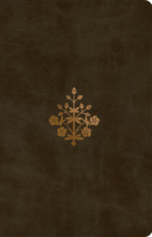 Knjiga ESV Large Print Thinline Reference Bible 