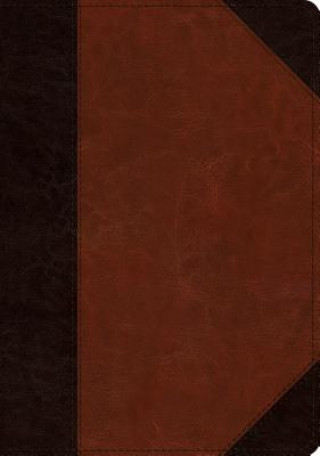 Βιβλίο ESV Large Print Wide Margin Bible 