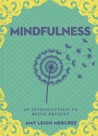 Könyv Little Bit of Mindfulness, A Amy Leigh Mercree