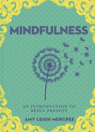 Book Little Bit of Mindfulness, A Amy Leigh Mercree