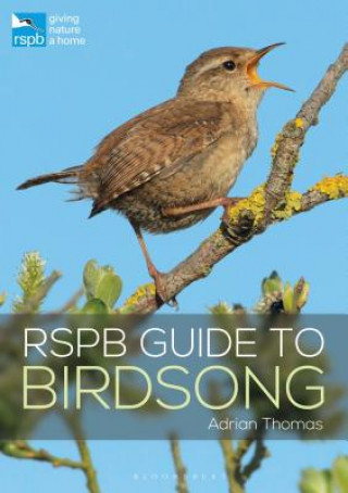 Carte RSPB Guide to Birdsong Adrian Thomas