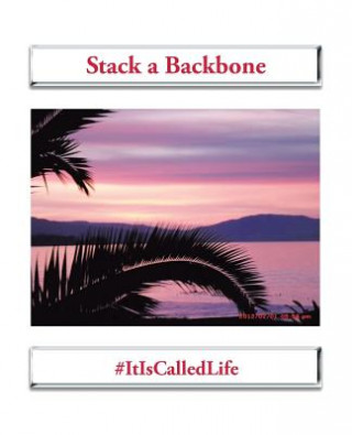 Buch Stack a Backbone Robin Jones