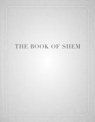 Könyv Book of Shem David Kishik