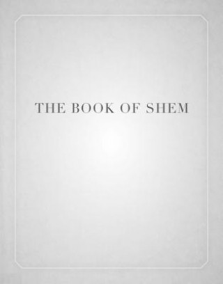 Kniha Book of Shem David Kishik