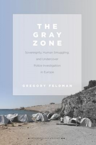 Knjiga Gray Zone Gregory Feldman