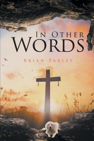Buch In Other Words BRIAN FARLEY