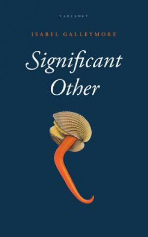 Knjiga Significant Other Isabel Galleymore