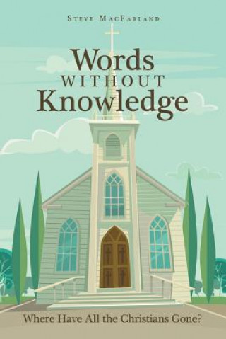 Kniha Words Without Knowledge STEVE MACFARLAND