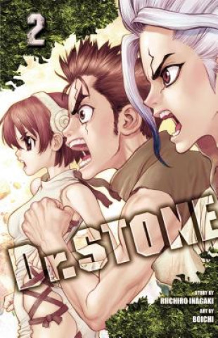 Książka Dr. STONE, Vol. 2 Riichiro Inagaki