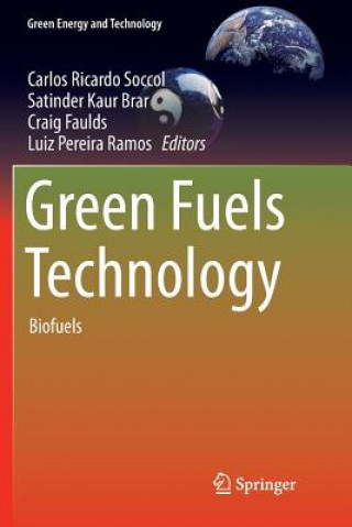 Kniha Green Fuels Technology Satinder Kaur Brar