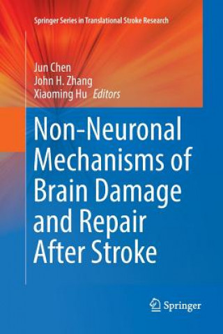 Książka Non-Neuronal Mechanisms of Brain Damage and Repair After Stroke JUN CHEN