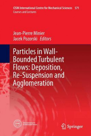 Könyv Particles in Wall-Bounded Turbulent Flows: Deposition, Re-Suspension and Agglomeration JEAN-PIERRE MINIER