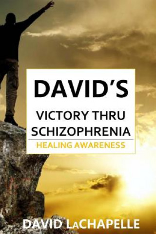 Kniha David's Victory Thru Schizophrenia David LaChapelle