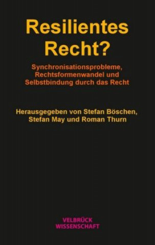 Buch Resilientes Recht? Stefan Böschen